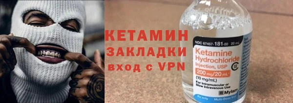 индика Вяземский