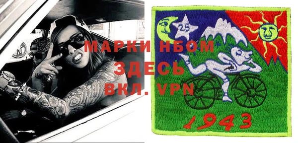 индика Вяземский