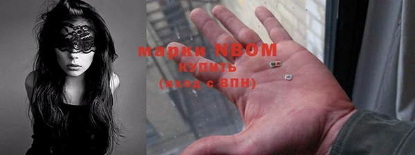 индика Вяземский