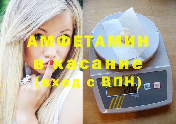 индика Вяземский