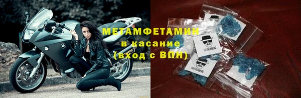 индика Вяземский