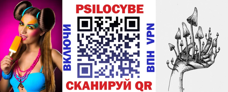 хочу   Черкесск  Галлюциногенные грибы прущие грибы 